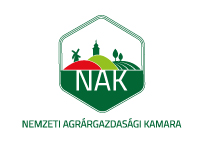 29AAMN_konferencia