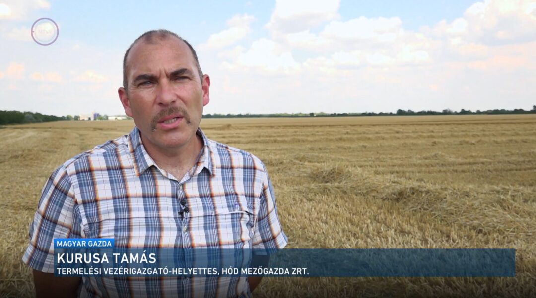 Képernyőkép 2026-06-30 130158